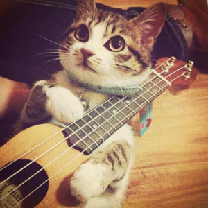 一区二区三区四区在线播放
