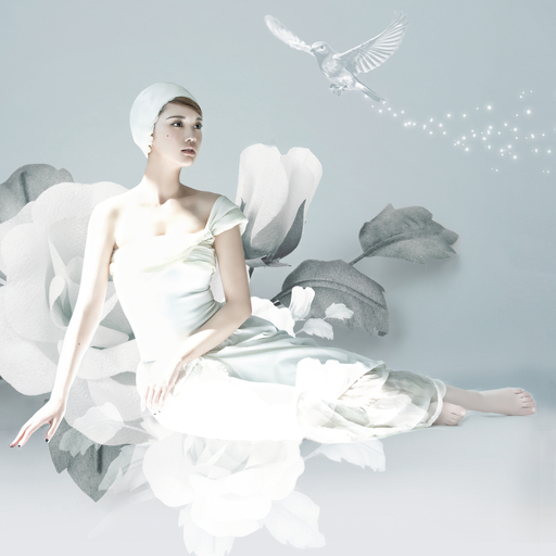 一区二区三区四区在线播放
